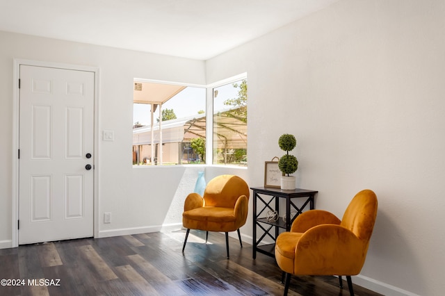 living area with dark hardwood / wood-style flooring