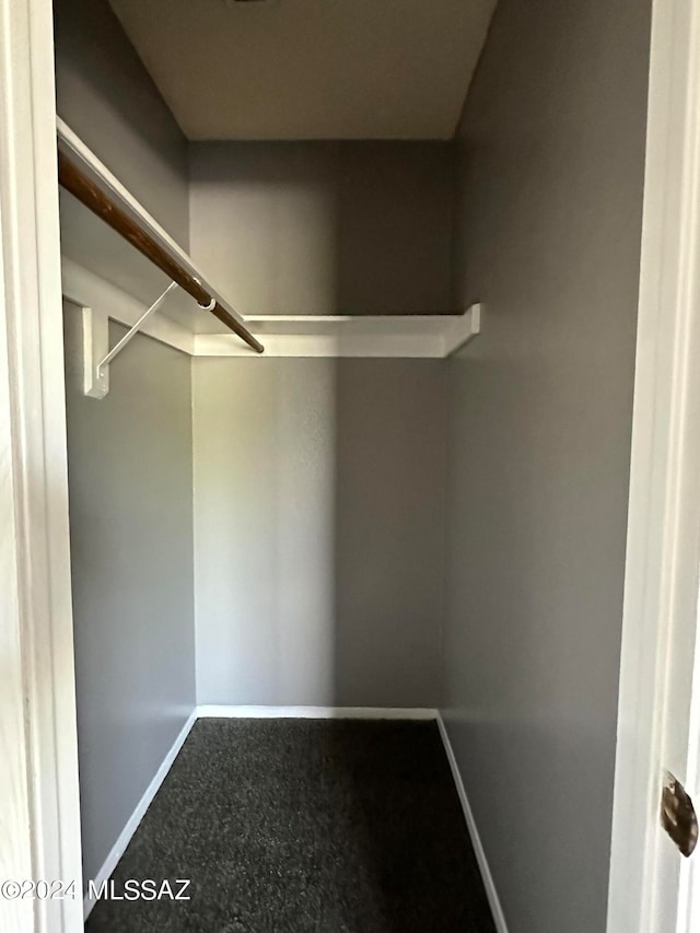 walk in closet featuring carpet floors