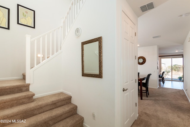 stairway featuring carpet floors