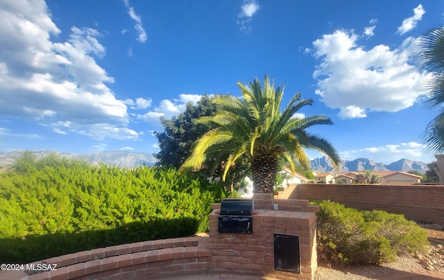 view of yard with a mountain view and area for grilling