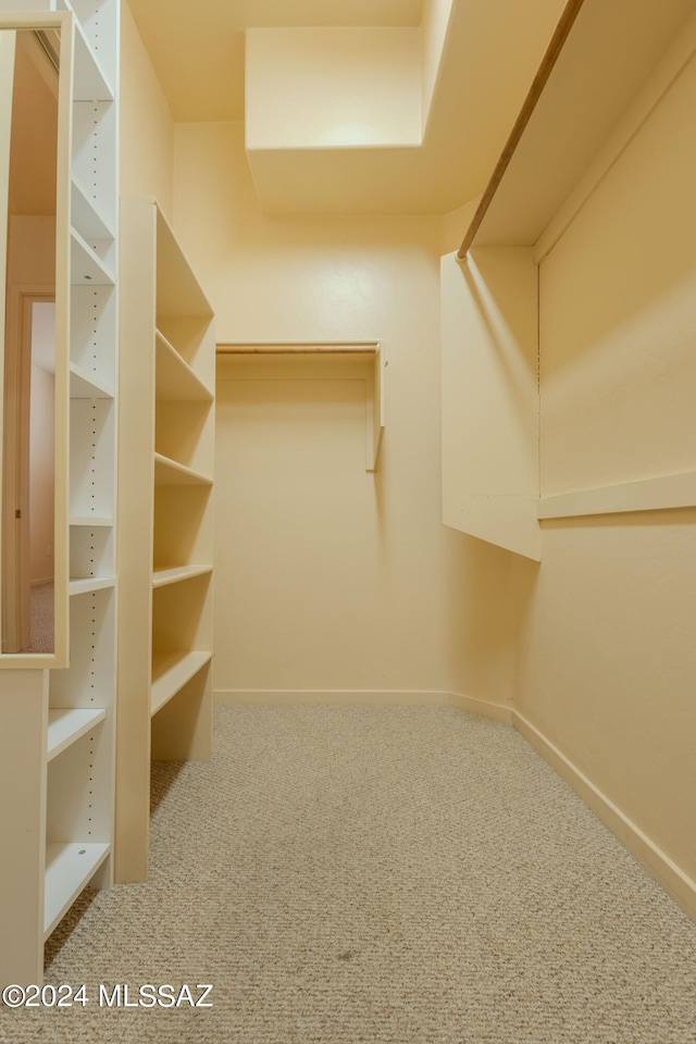 spacious closet featuring carpet