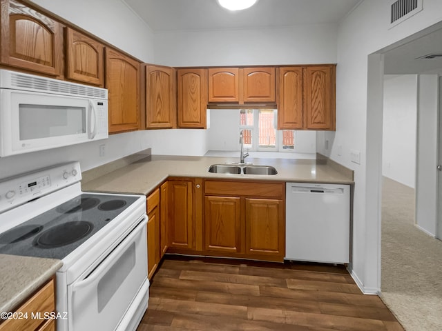 kitchen featuring dark wood-type flooring, sink, and white appliances