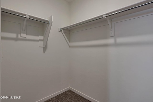 spacious closet with carpet floors