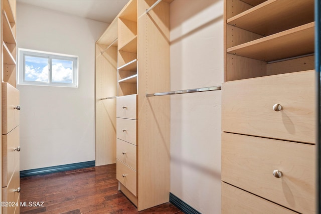 spacious closet featuring dark hardwood / wood-style floors