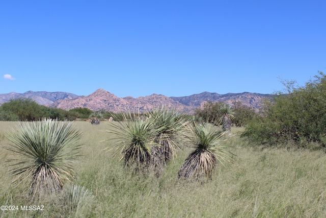 TBD E Naiche Rd Unit 56, Saint David AZ, 85630 land for sale