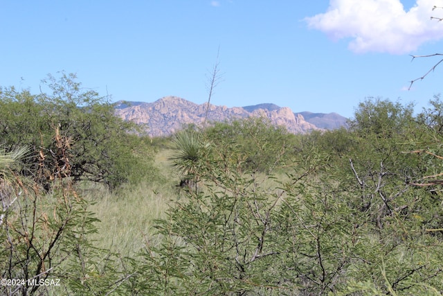 Listing photo 2 for TBD E Naiche Rd Unit 56, Saint David AZ 85630