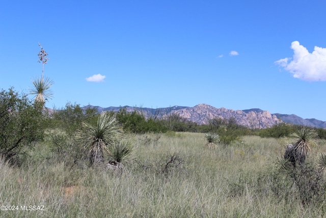 Listing photo 3 for TBD E Naiche Rd Unit 56, Saint David AZ 85630