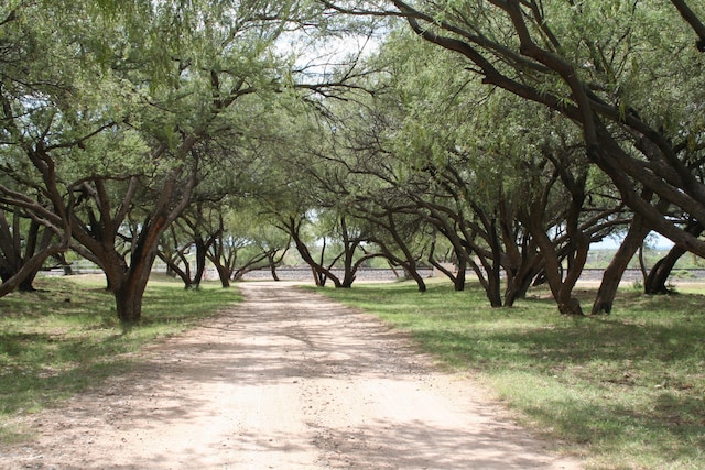 view of road