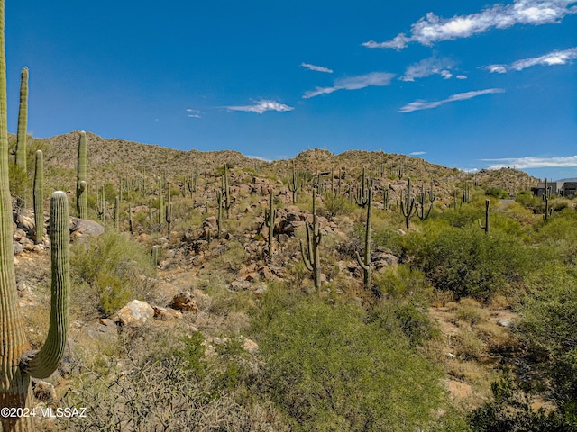 1173 W Tortolita Mountain Cir Unit 182, Oro Valley AZ, 85755 land for sale