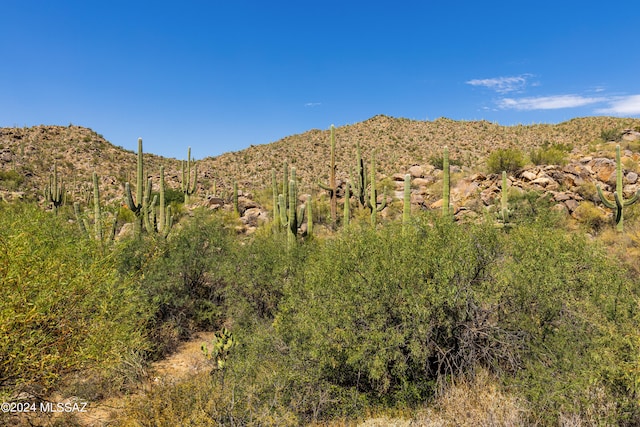 Listing photo 2 for 1173 W Tortolita Mountain Cir Unit 182, Oro Valley AZ 85755