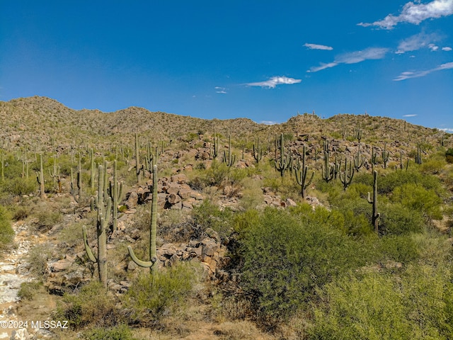 Listing photo 3 for 1173 W Tortolita Mountain Cir Unit 182, Oro Valley AZ 85755