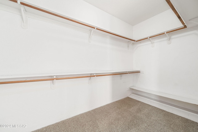 walk in closet with carpet floors