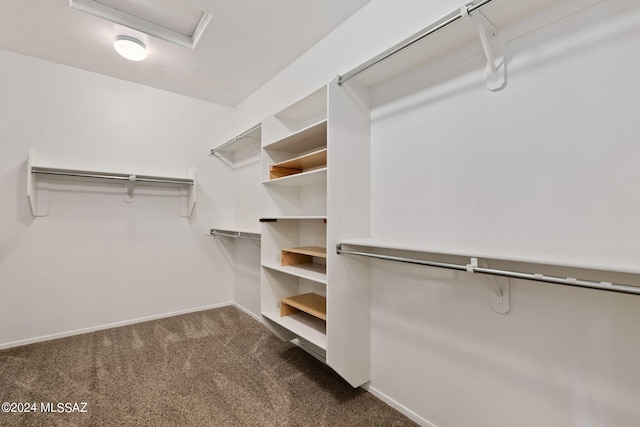 walk in closet with dark carpet