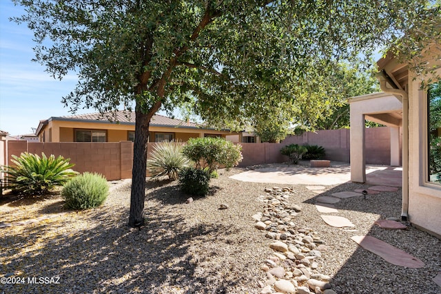 view of yard featuring a patio