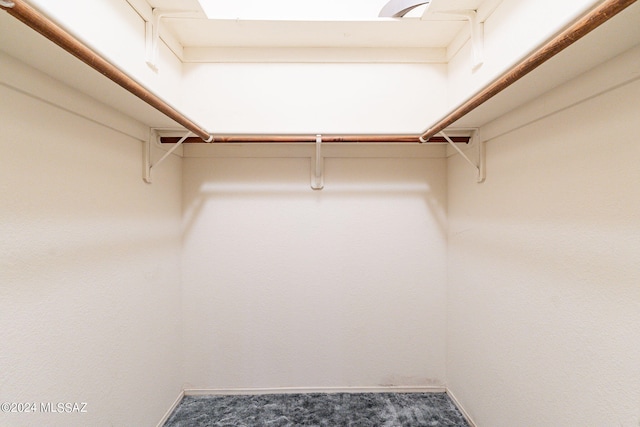 spacious closet with carpet