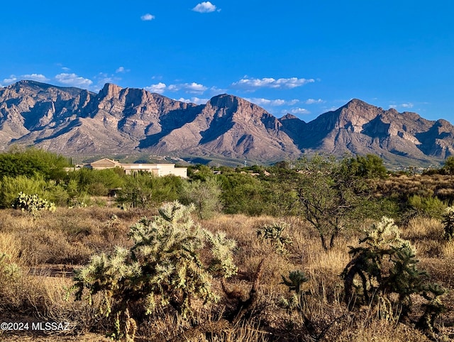 12565 N Vistoso View Pl Unit 21, Oro Valley AZ, 85755 land for sale