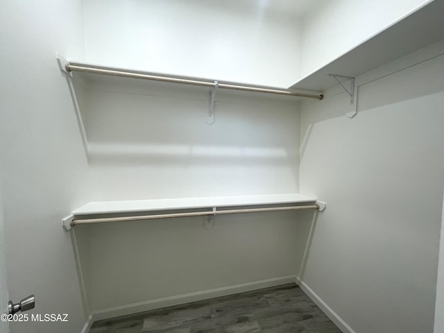 spacious closet with dark hardwood / wood-style flooring
