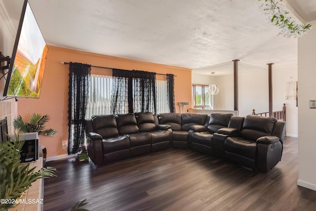 living room with a textured ceiling, crown molding, and dark wood-type flooring