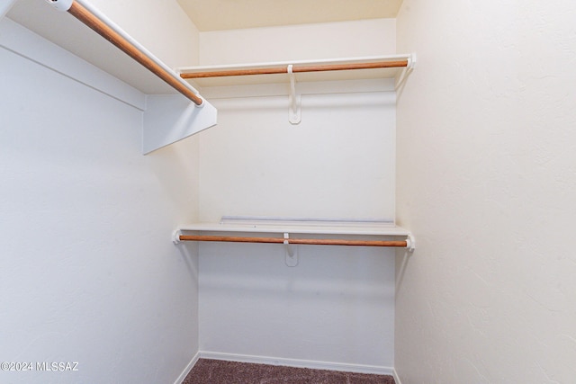 spacious closet featuring carpet flooring