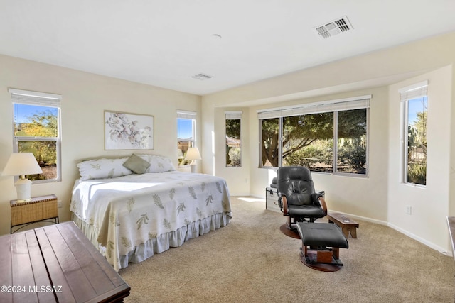 carpeted bedroom with multiple windows