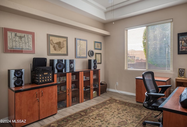 office area with hardwood / wood-style flooring, a raised ceiling, and a wealth of natural light