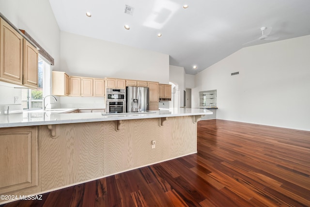 kitchen with appliances with stainless steel finishes, light brown cabinets, sink, and dark hardwood / wood-style flooring