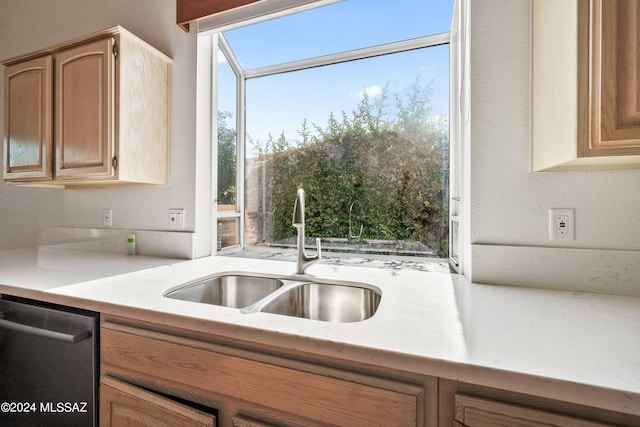 kitchen with sink and stainless steel dishwasher