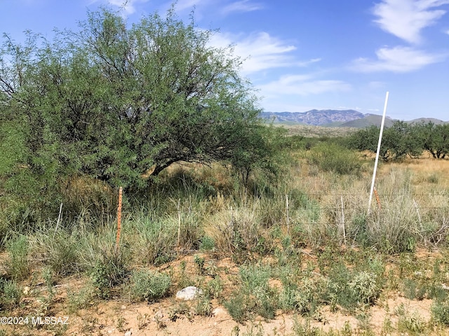 Listing photo 2 for 37.15AC S Warbonnet Rd Unit 15, Willcox AZ 85643