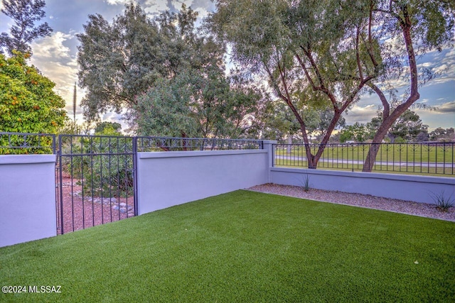 view of yard at dusk