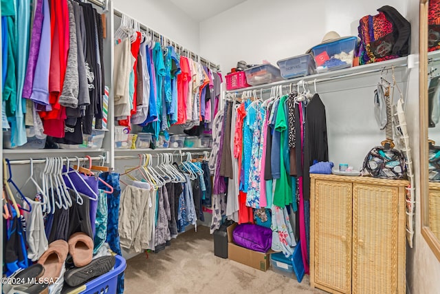 walk in closet with carpet floors