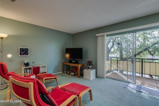 carpeted living room with a textured ceiling