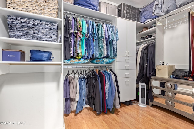 walk in closet featuring light hardwood / wood-style floors