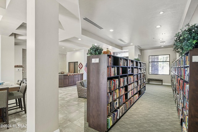 interior space with carpet floors