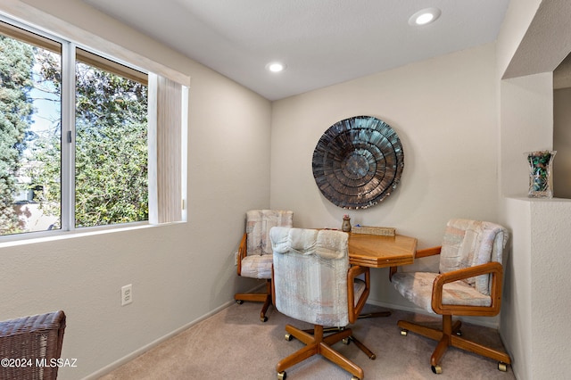 carpeted dining space with plenty of natural light