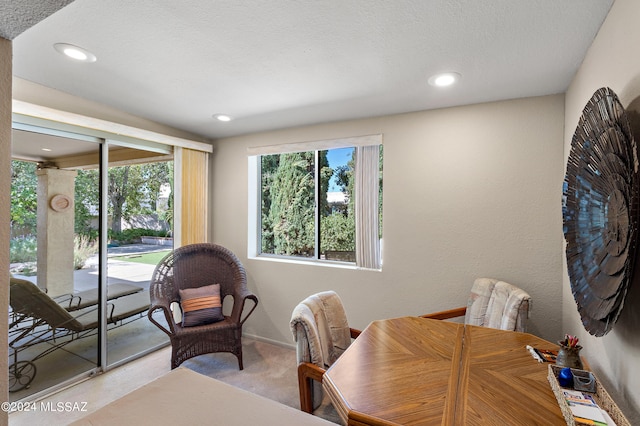 carpeted office space with a textured ceiling