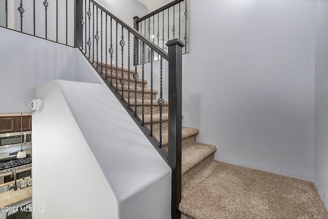 staircase featuring carpet floors