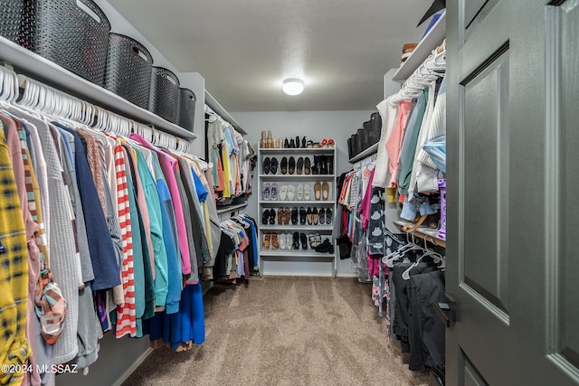 spacious closet with carpet floors