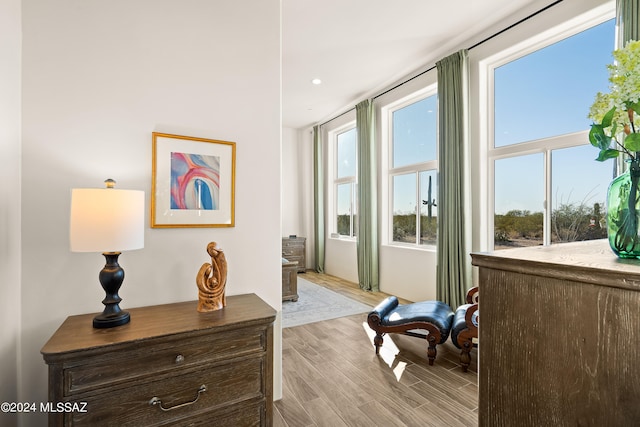 hall featuring light hardwood / wood-style floors