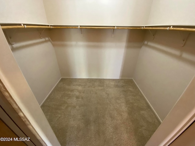 walk in closet with carpet flooring