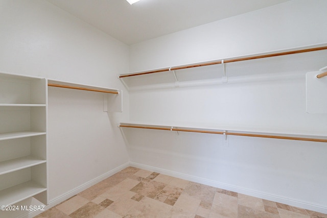 view of spacious closet