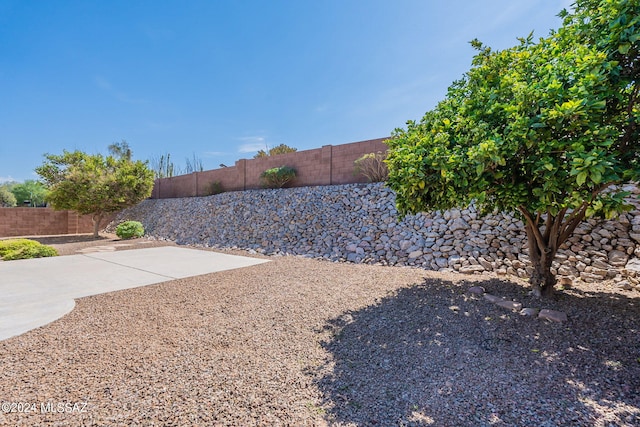 view of yard with a patio and a fenced backyard