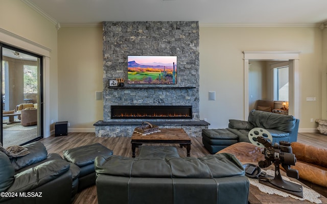 15251 N Dove Canyon Pass, Marana, AZ 85658 - living room with a stone fireplace, wood finished floors, crown molding, and baseboards