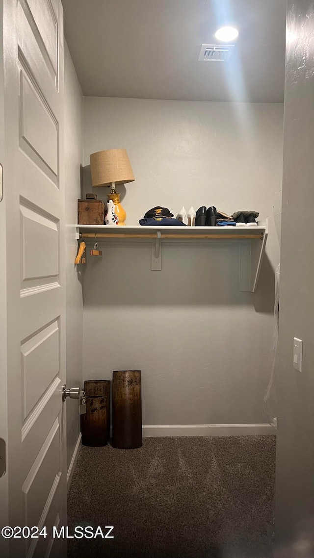 spacious closet with carpet