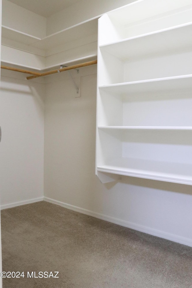 spacious closet featuring carpet flooring