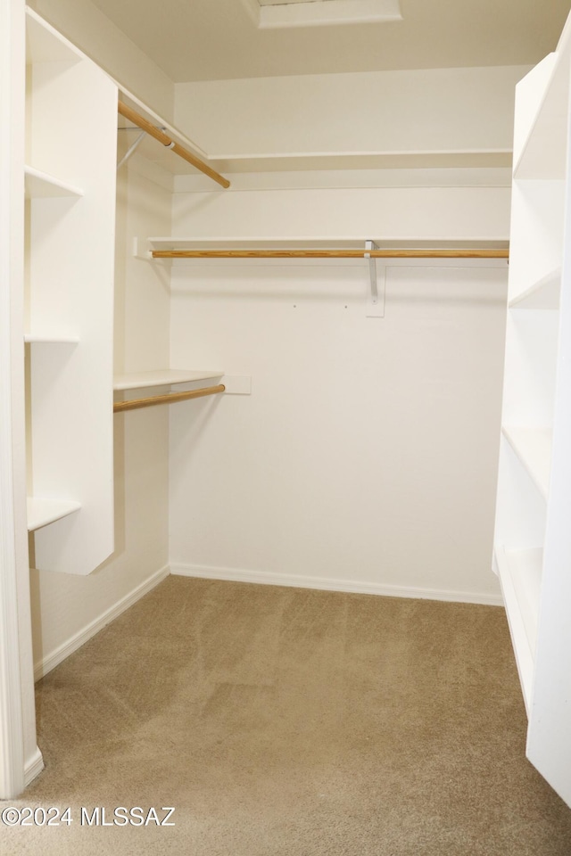 walk in closet with carpet