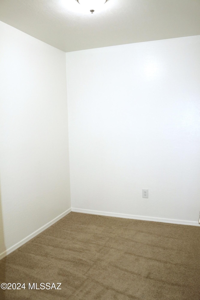 spare room with carpet