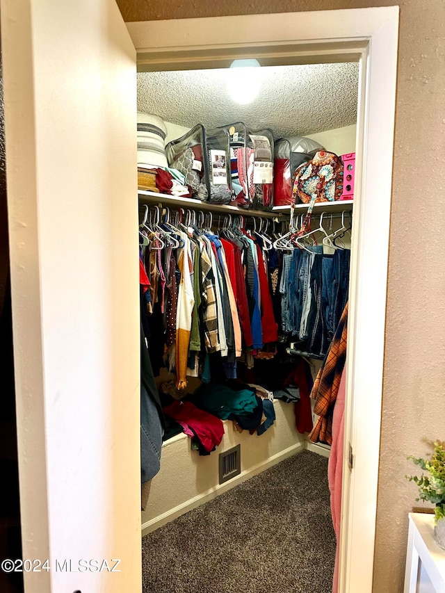 walk in closet featuring carpet floors