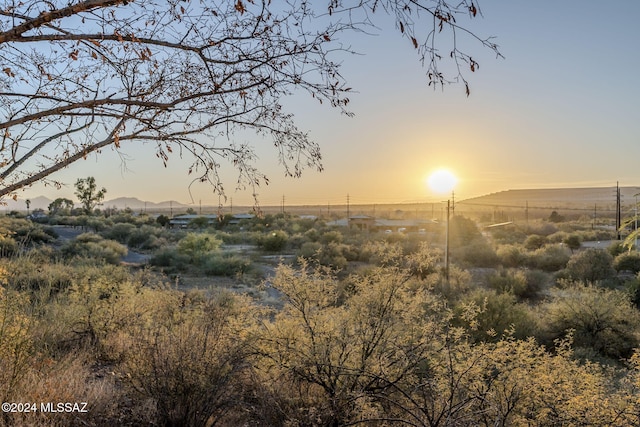 view of nature at dusk