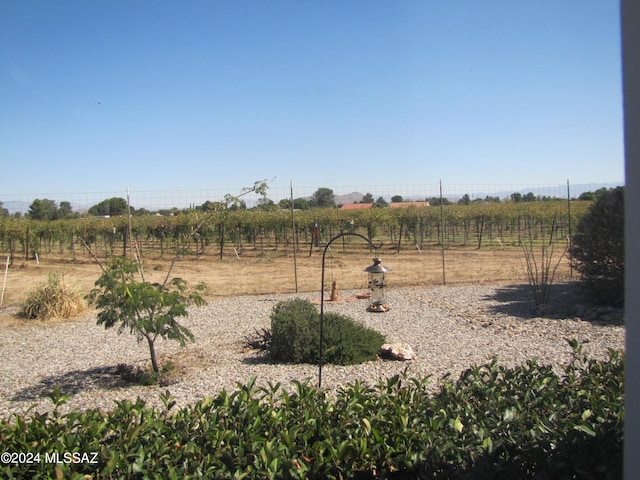 view of yard featuring a rural view