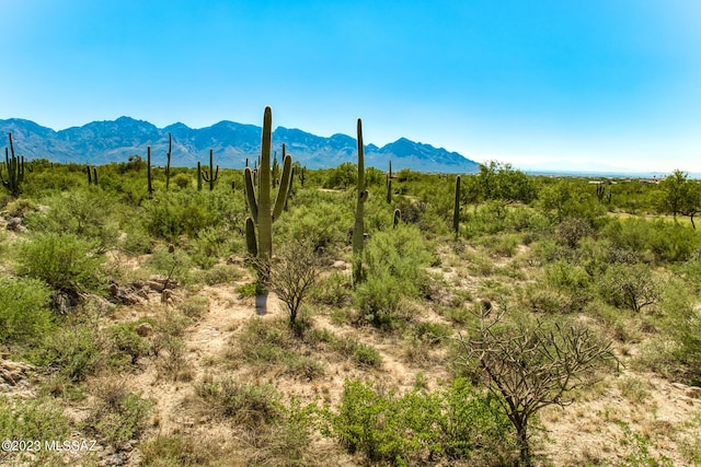 1586 W Rock Range Pl Unit 228, Oro Valley, AZ 85755